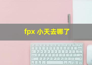 fpx 小天去哪了